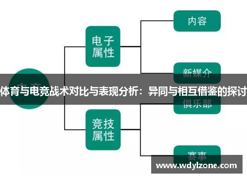 体育与电竞战术对比与表现分析：异同与相互借鉴的探讨