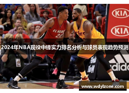 2024年NBA现役中锋实力排名分析与球员表现趋势预测