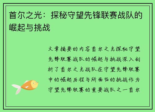 首尔之光：探秘守望先锋联赛战队的崛起与挑战