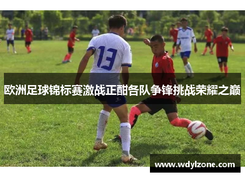 欧洲足球锦标赛激战正酣各队争锋挑战荣耀之巅